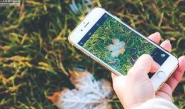 手机看片1024国产旧版,经典回忆，重温经典瞬间